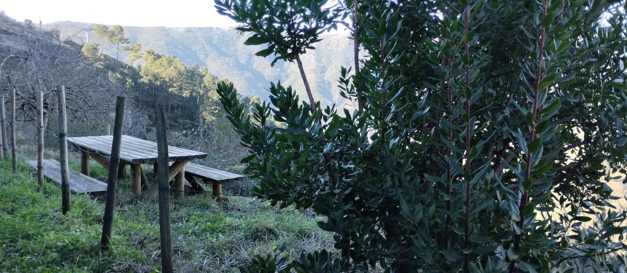 Affittacamere Casa Da Quelha Chas de Egua Esterno foto